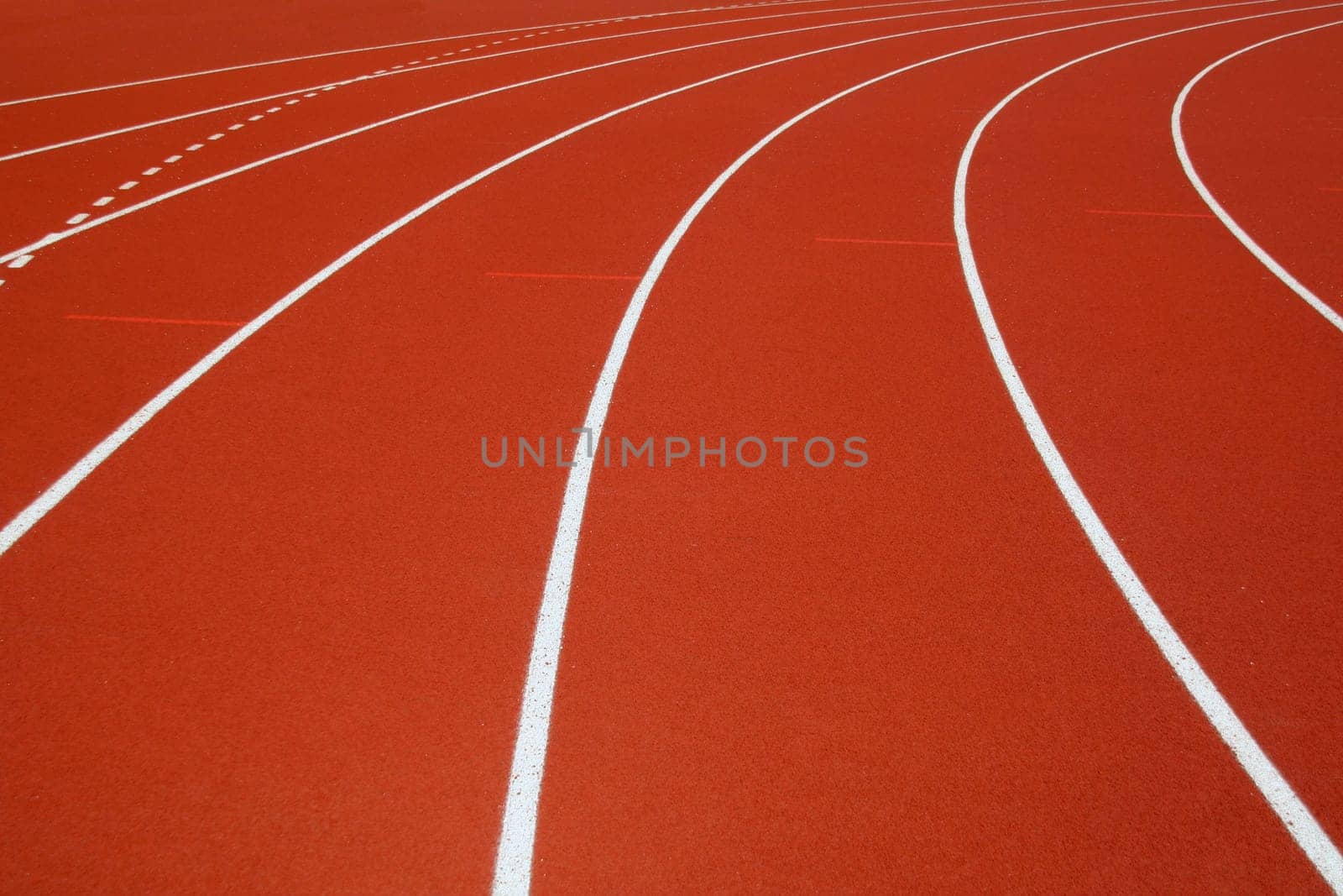 race track in a stadium