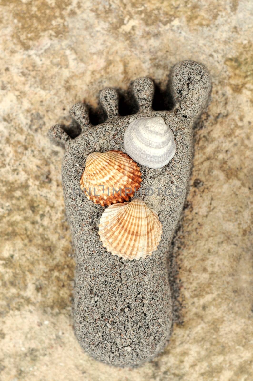 Footprint