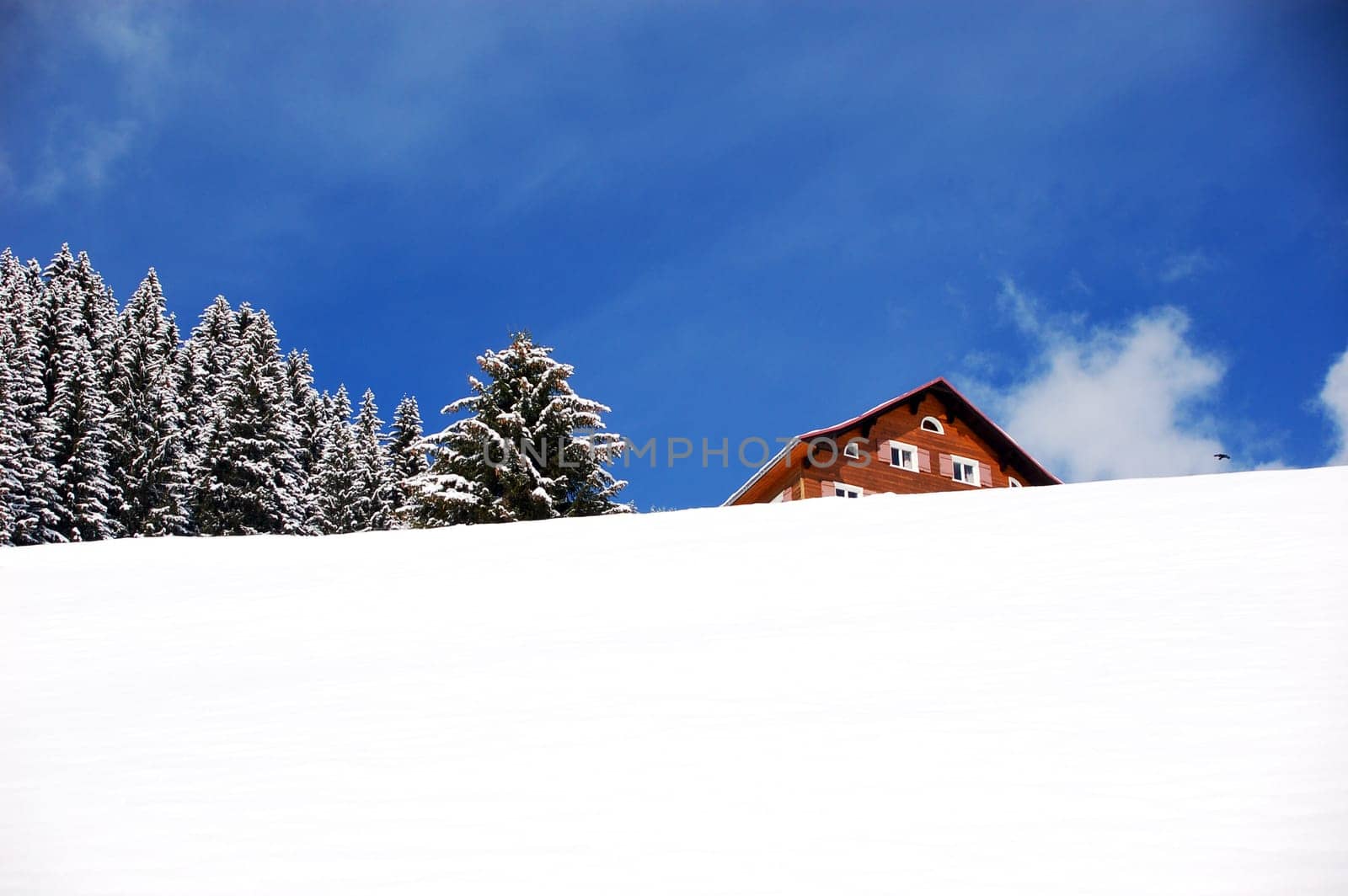 House on the Slope 7283