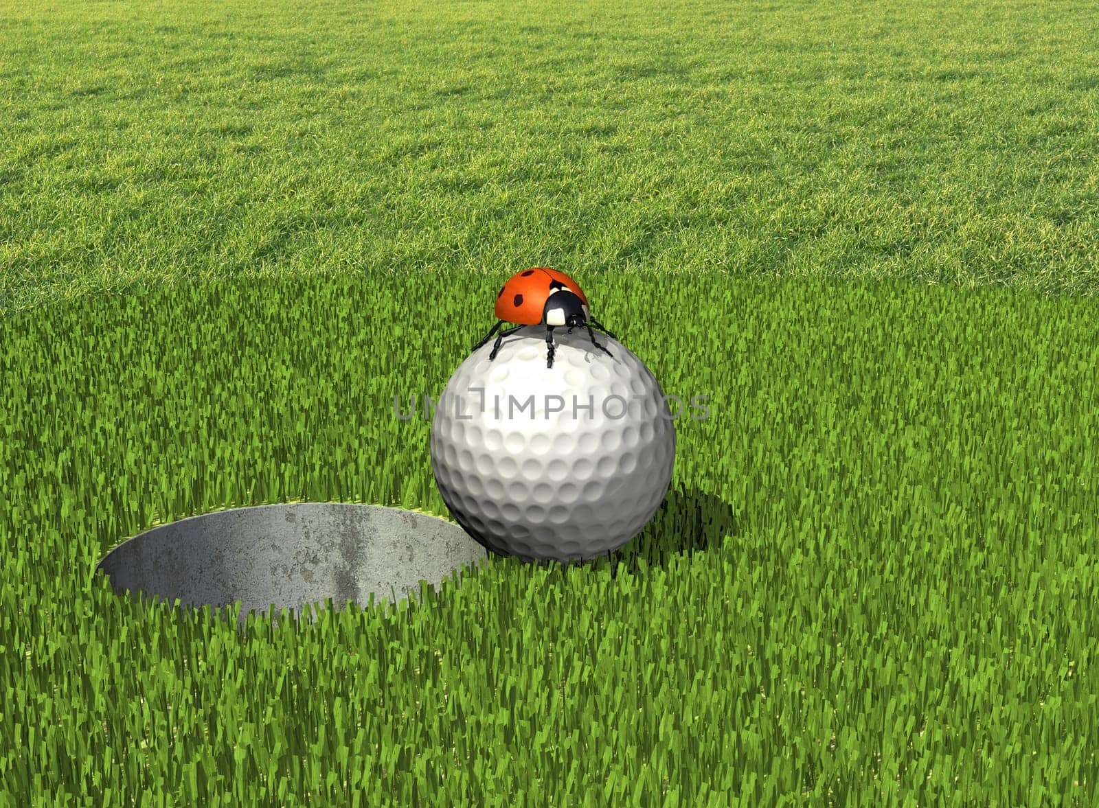 Golf ball with ladybug