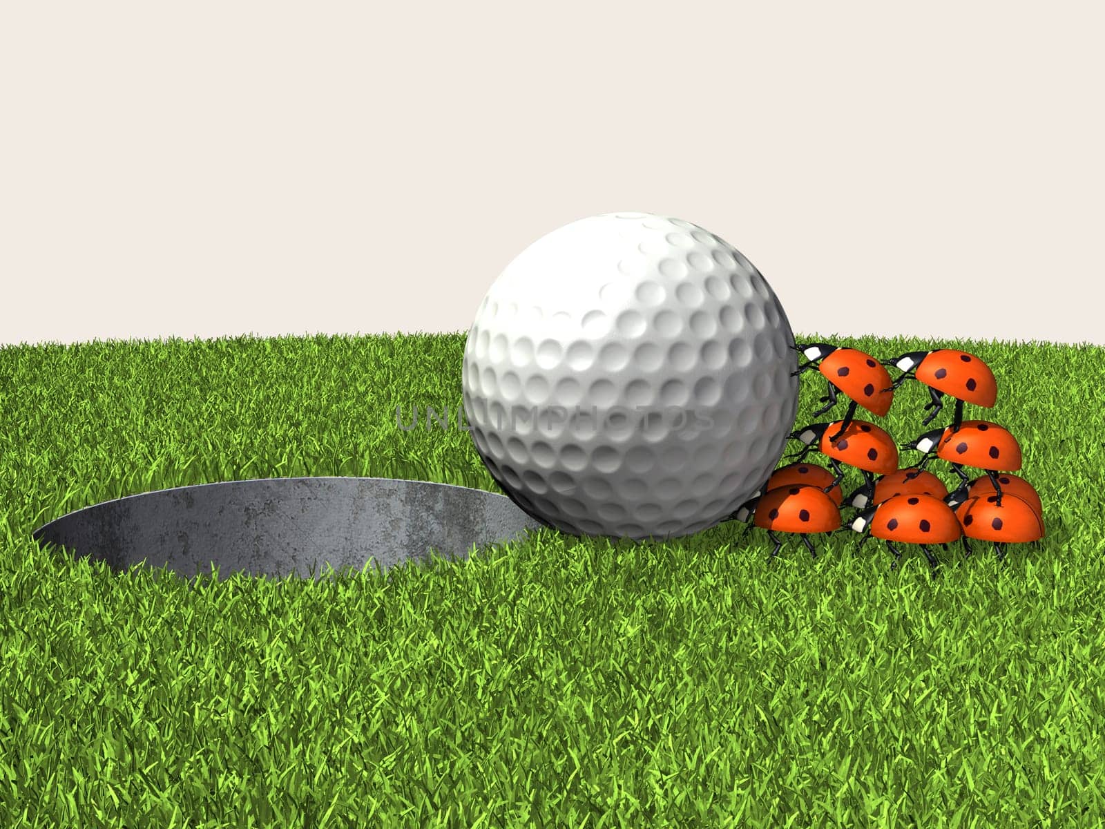 Golf ball with ladybugs