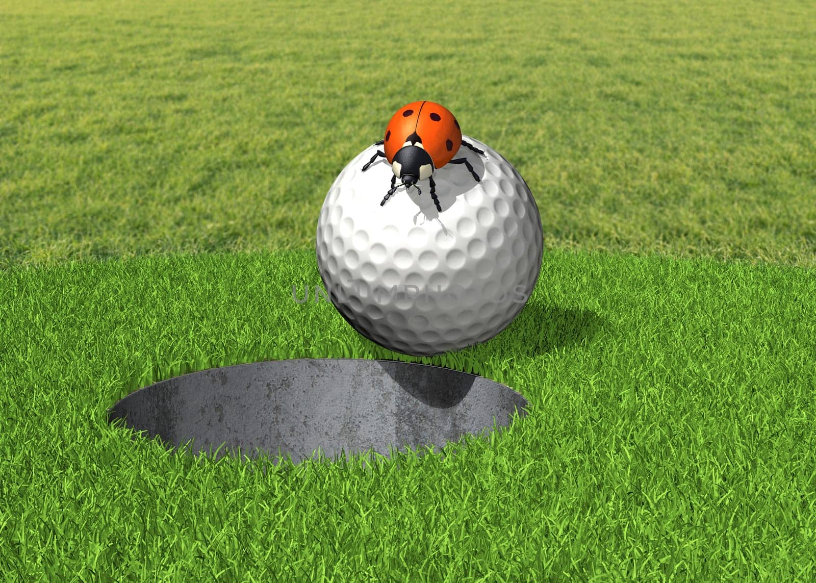 Golf ball with ladybug