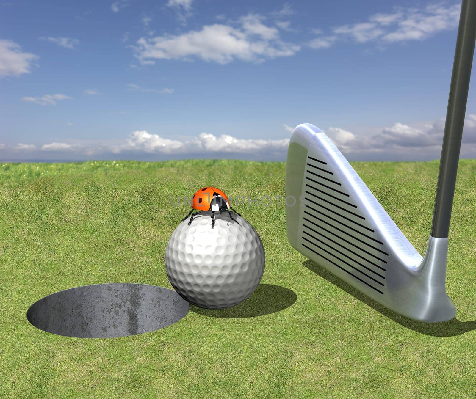 Golf ball with ladybug