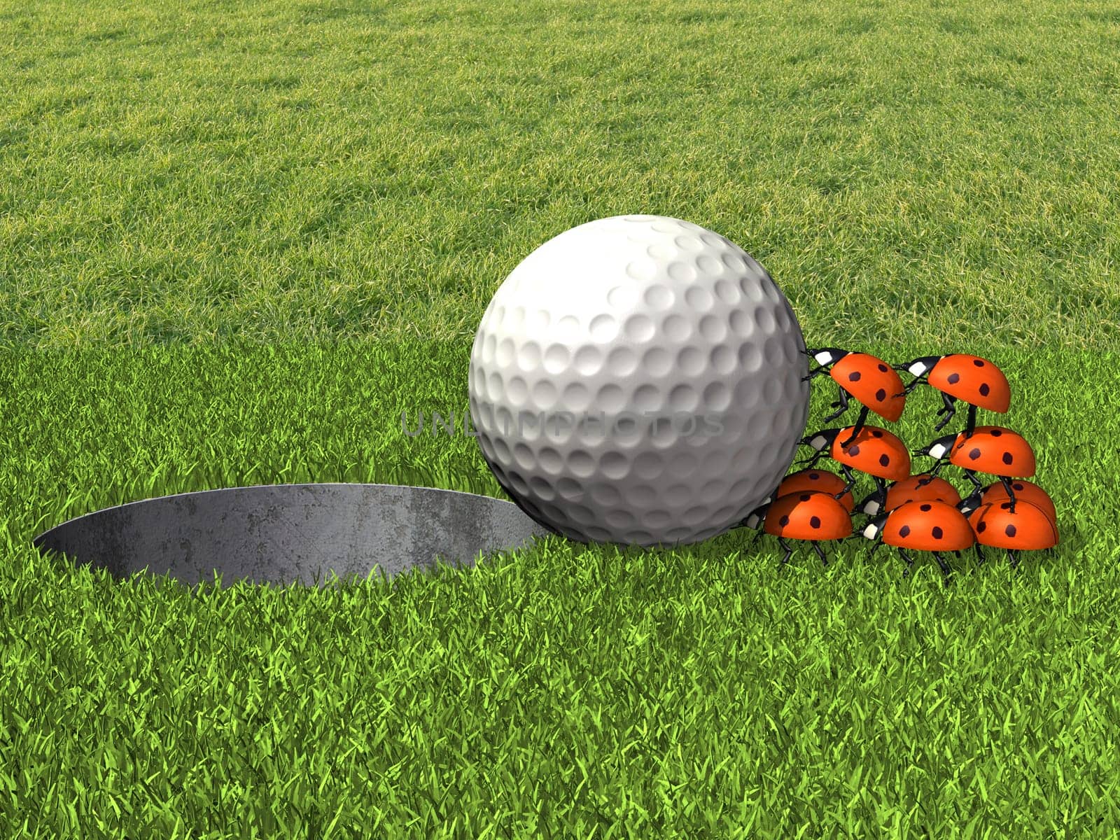 Golf ball with ladybugs