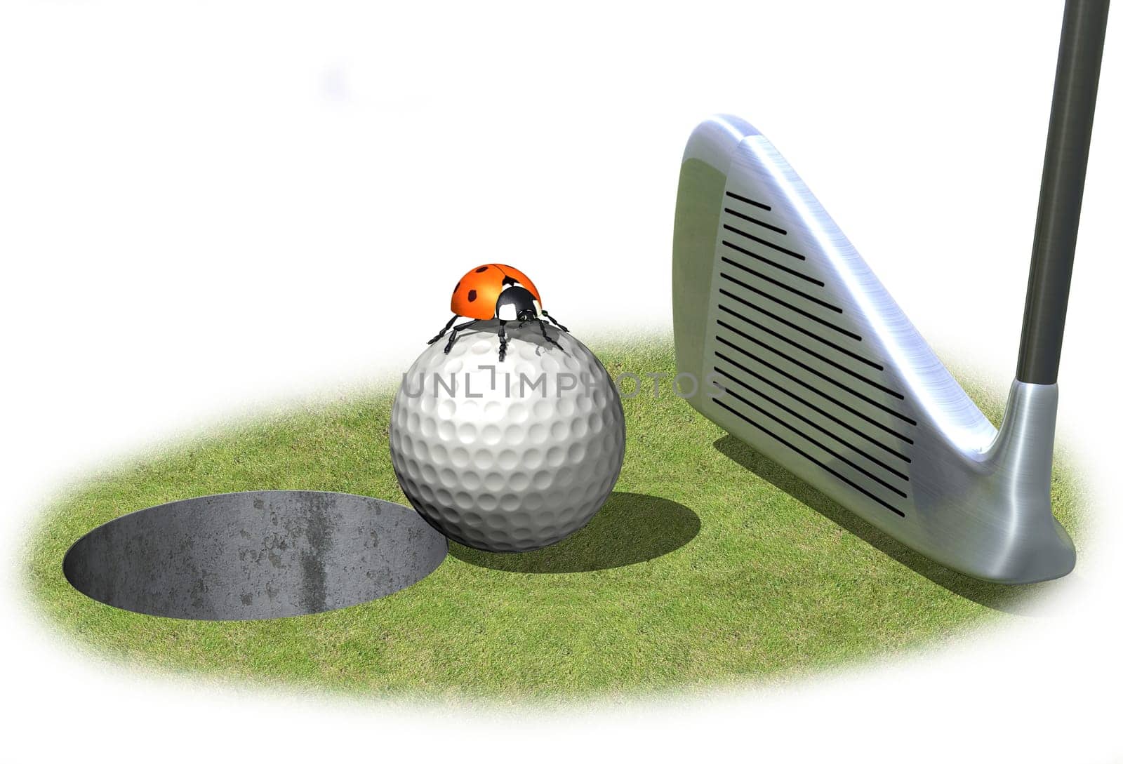 Golf ball in front of hole with ladybug
