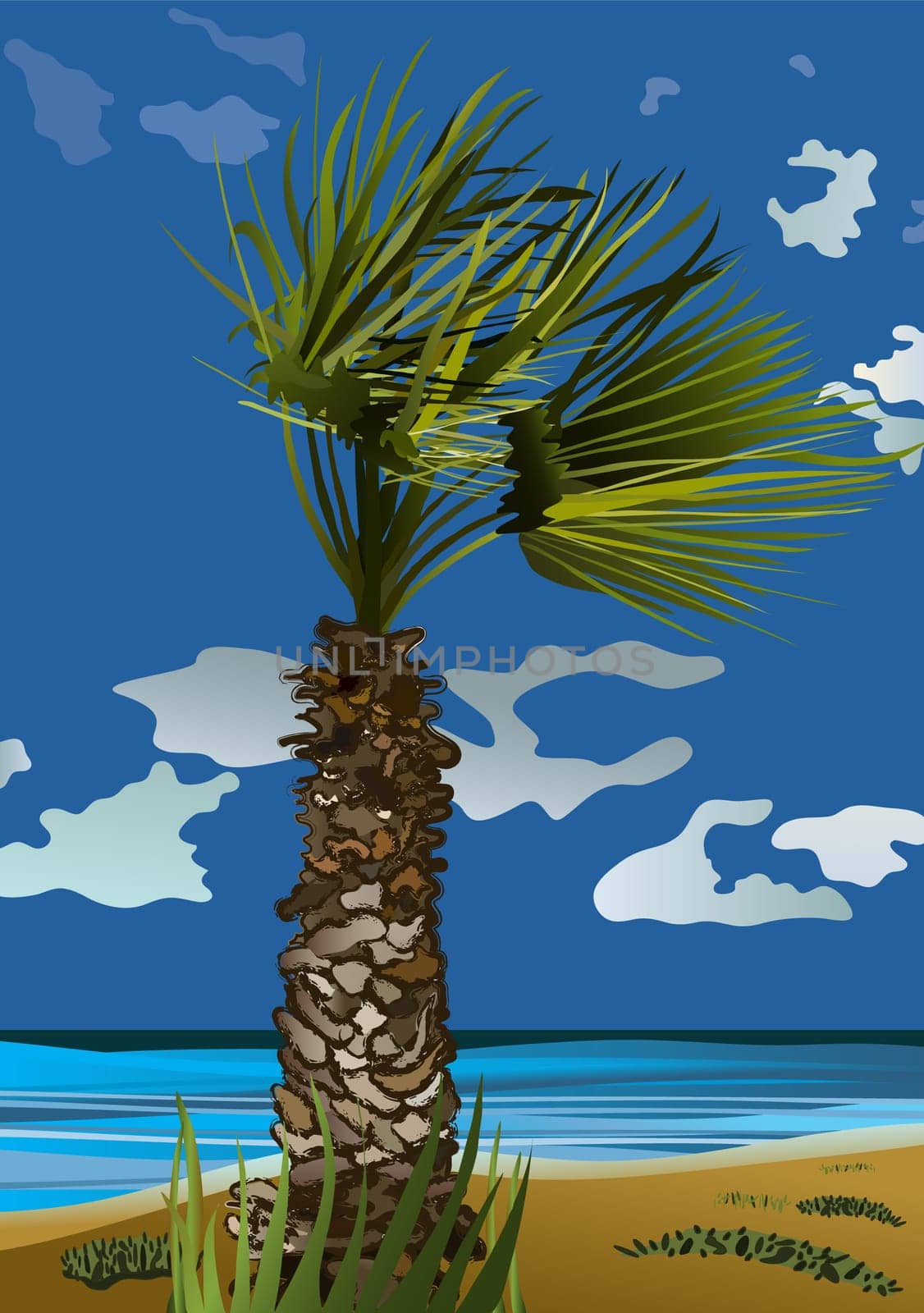 Palm tree in the wind