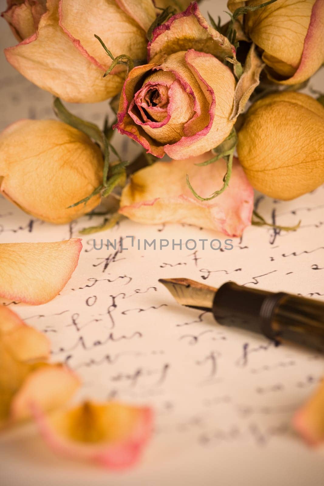 Letter