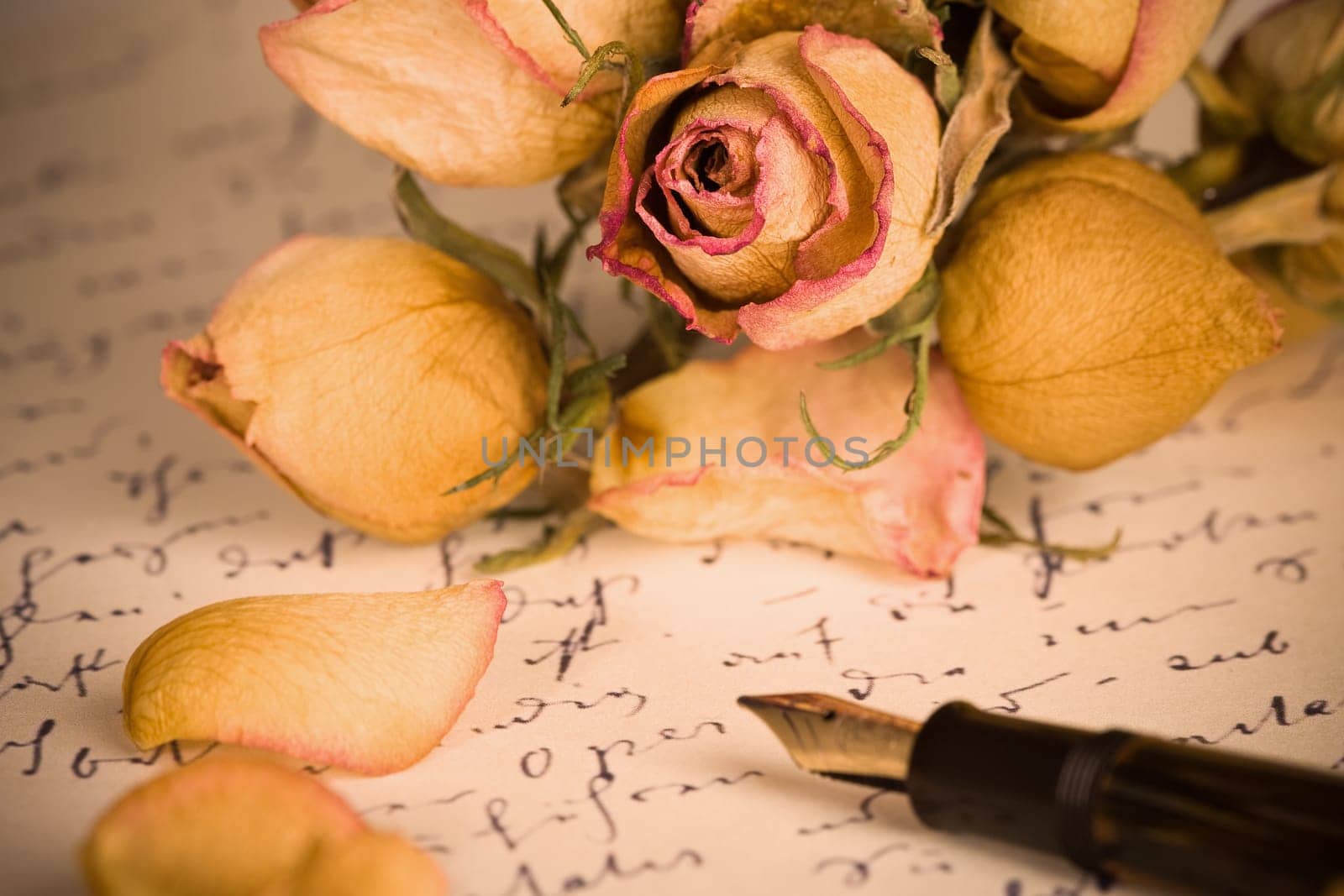 Letter