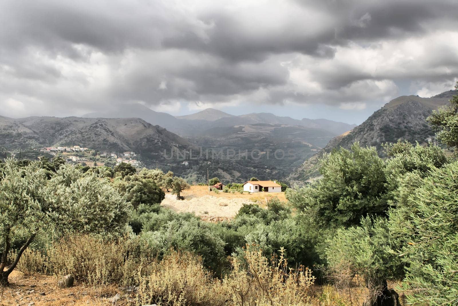Village