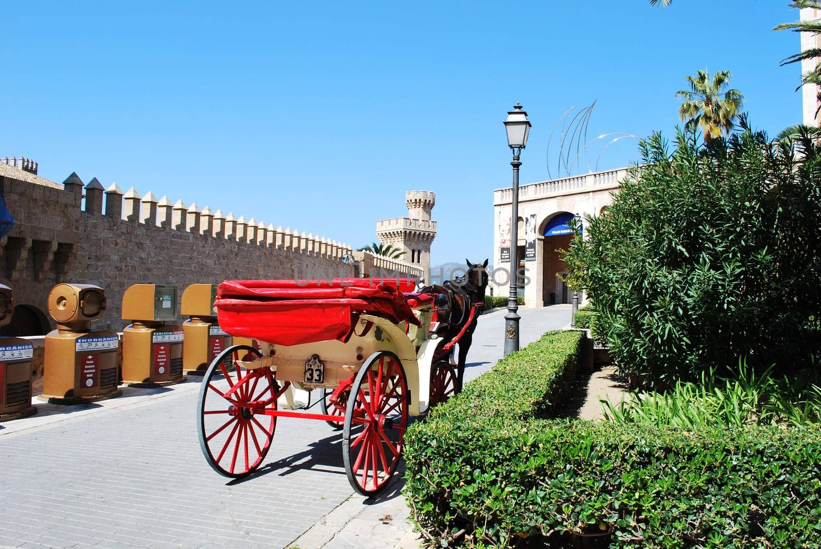 Horse-drawn carriage Mallorchina 469