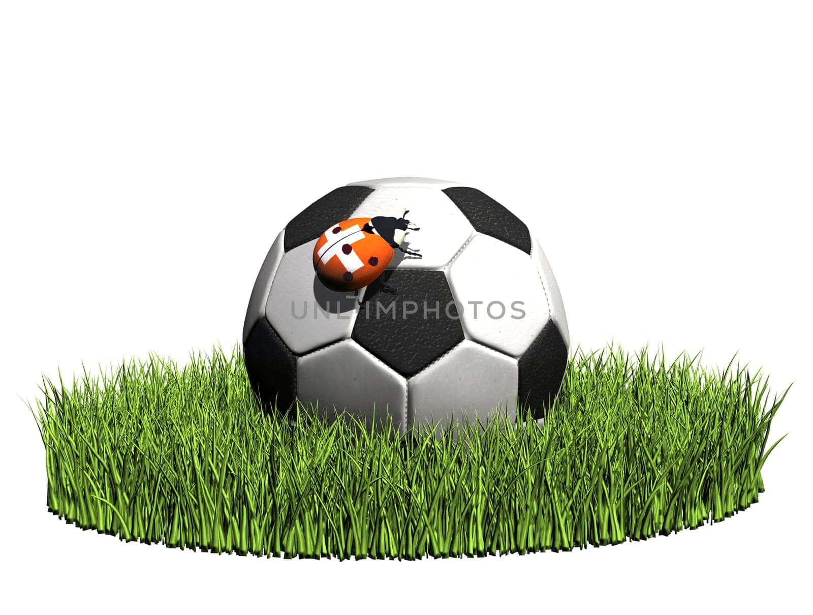 Ladybug on soccer ball
