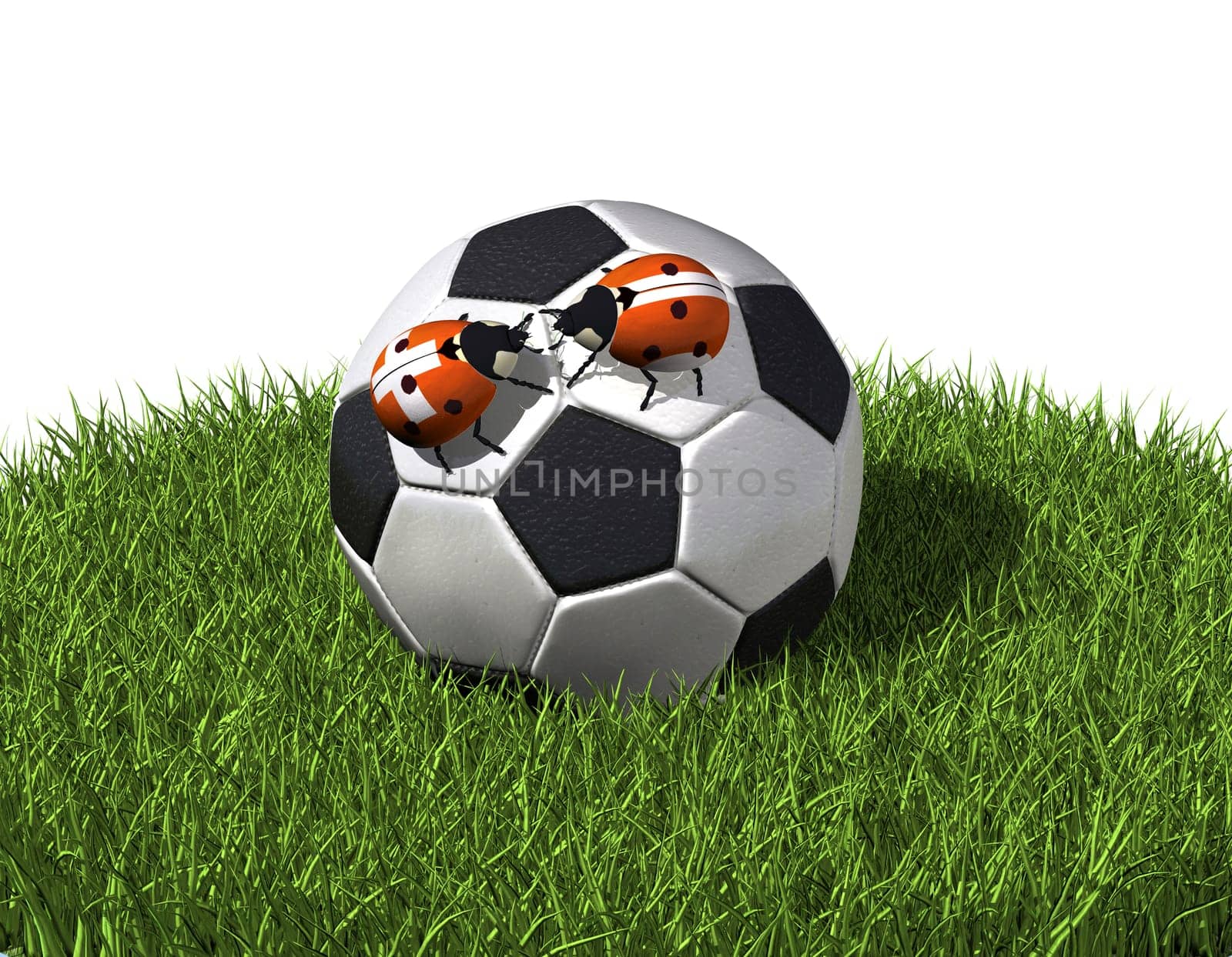 Ladybug on soccer ball