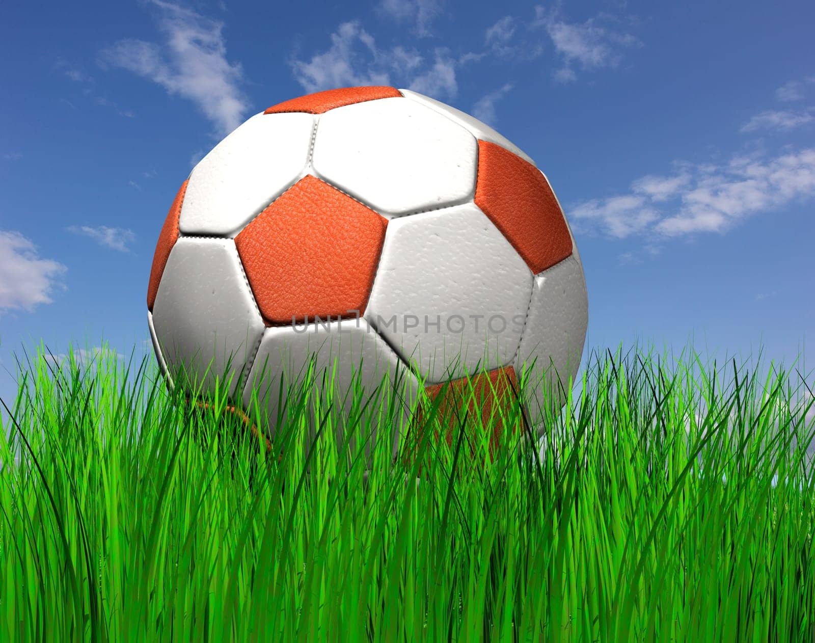 Football on the grass