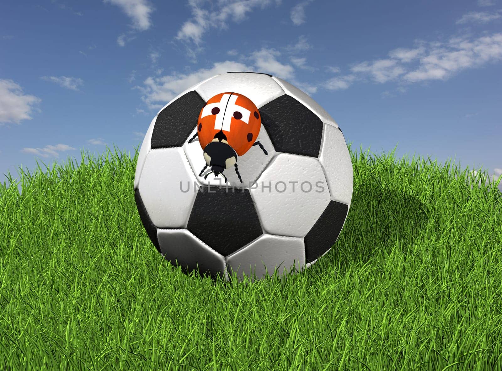 Soccer ball on grass with ladybug