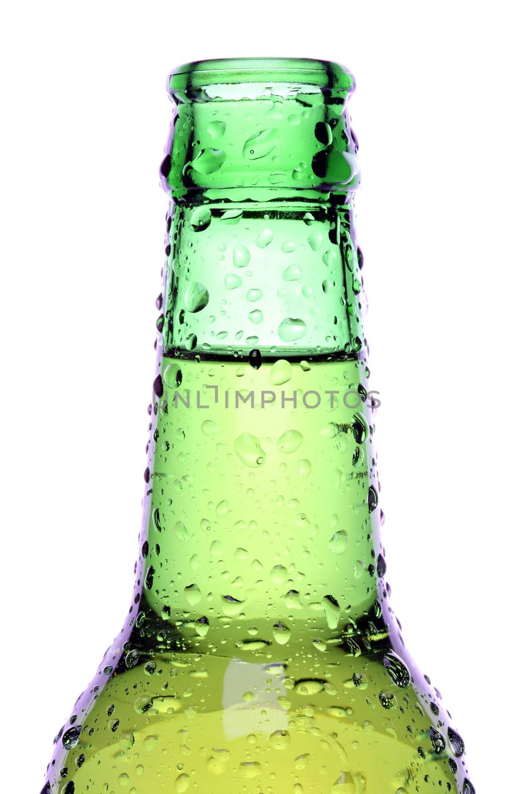beer bottle isolated