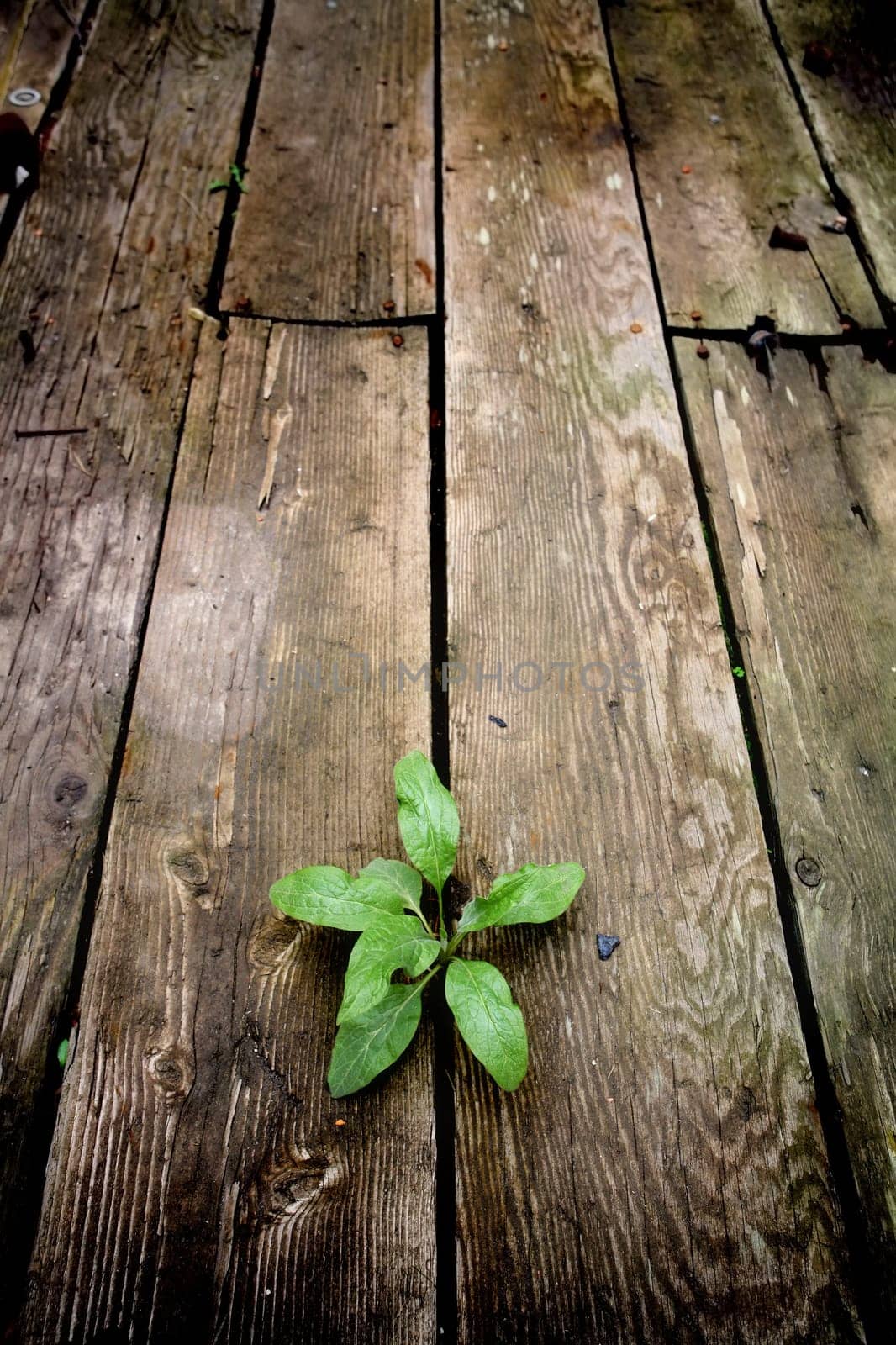 life and hope