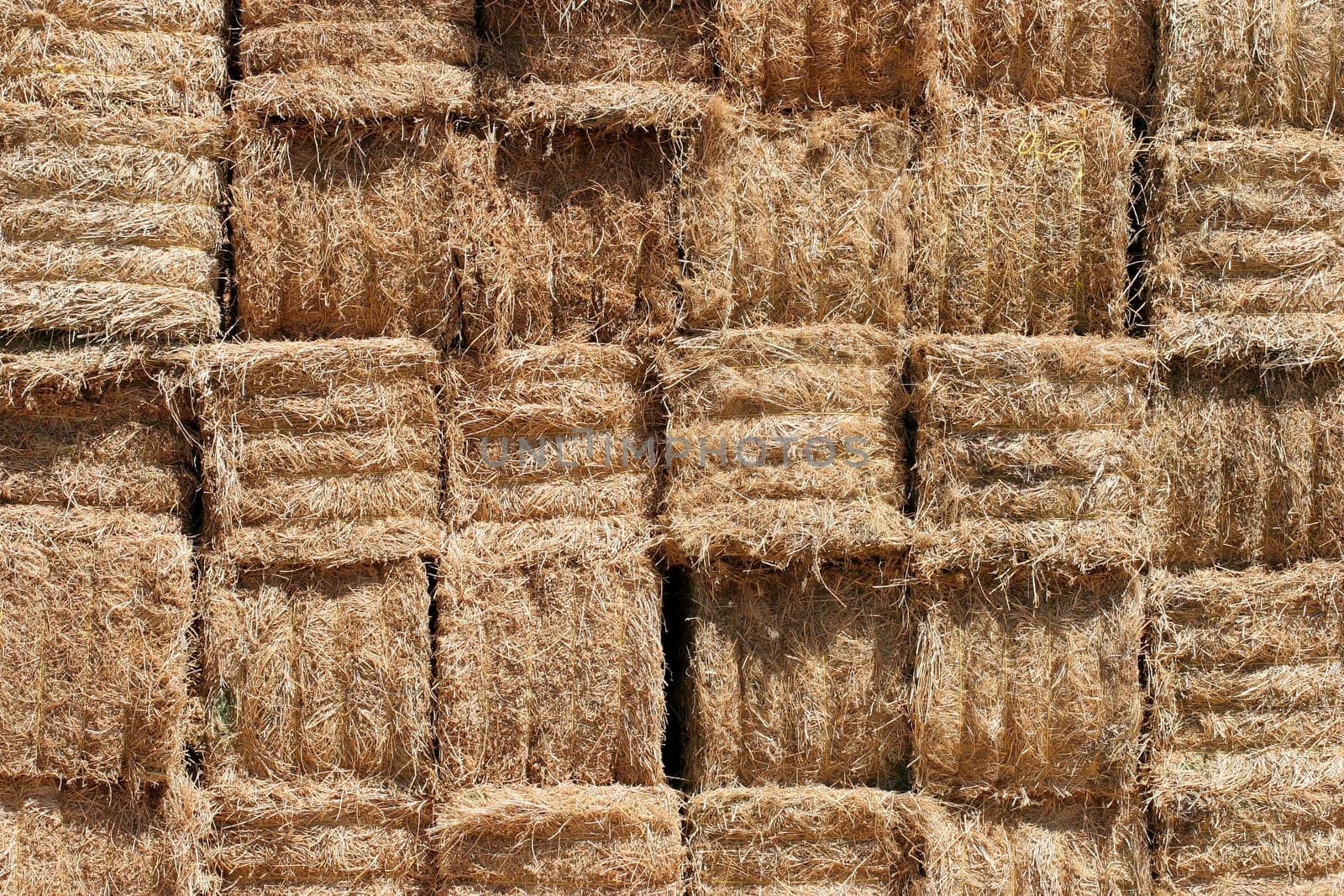 hay bales background