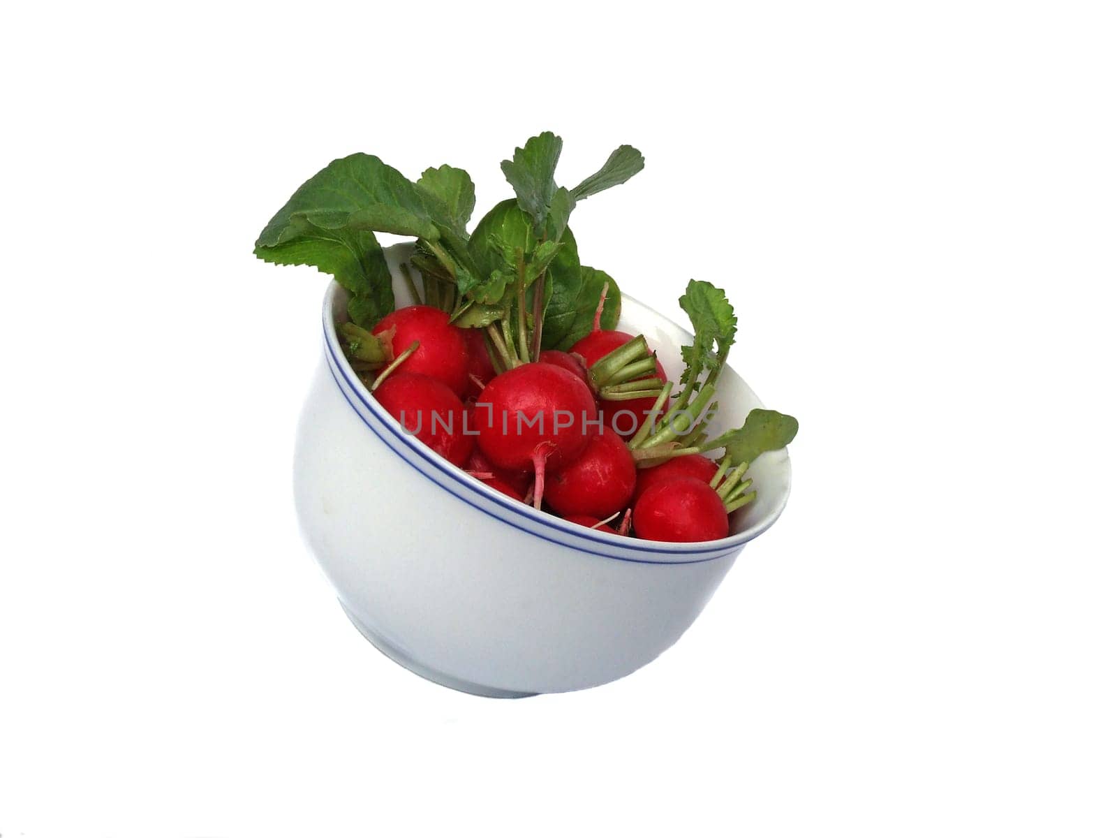 Radish