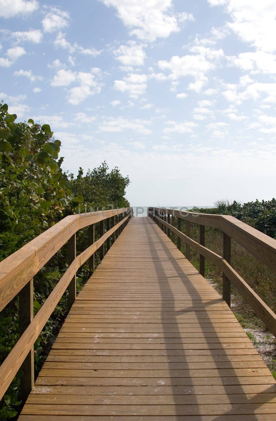 Beach Bridge