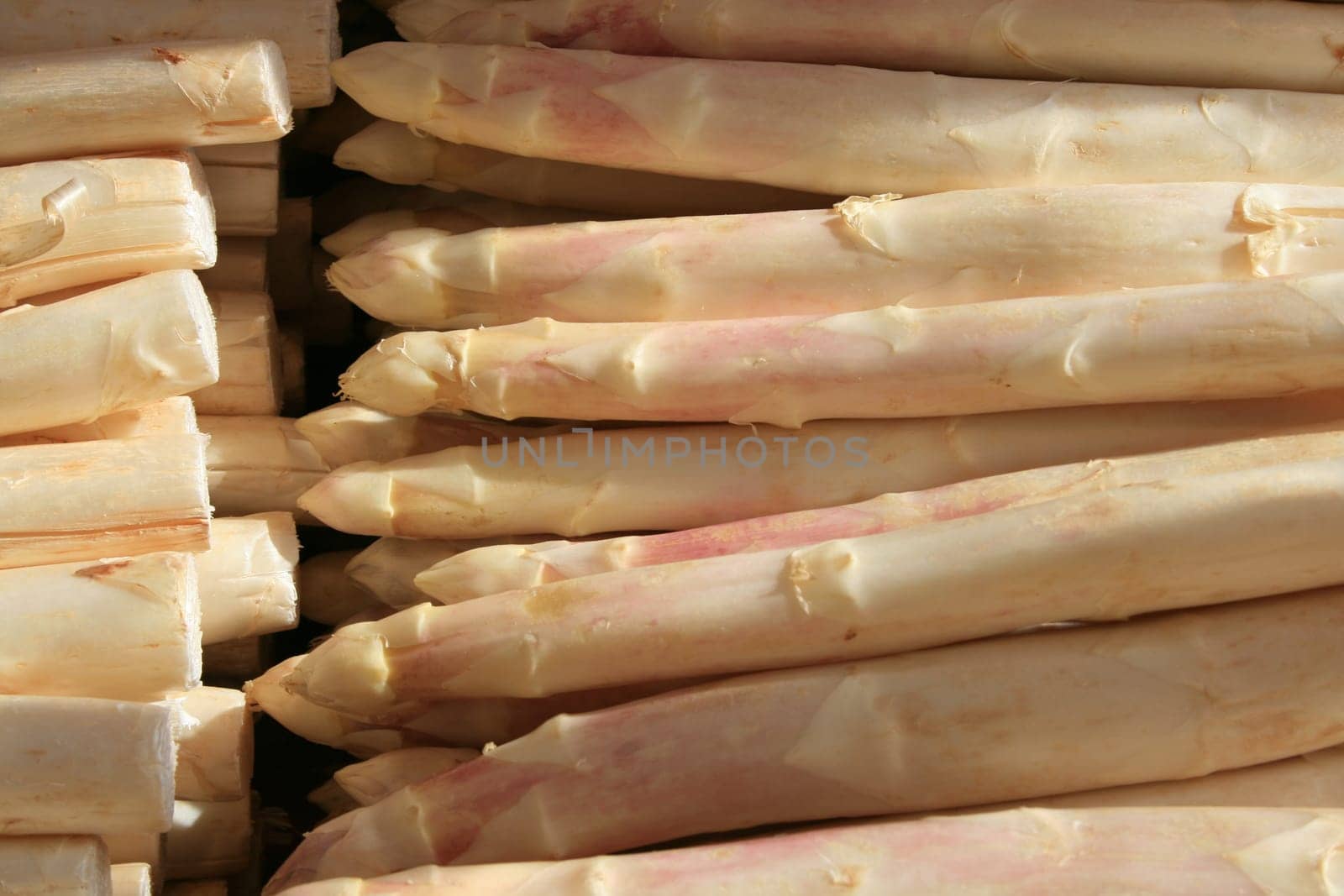Asparagus