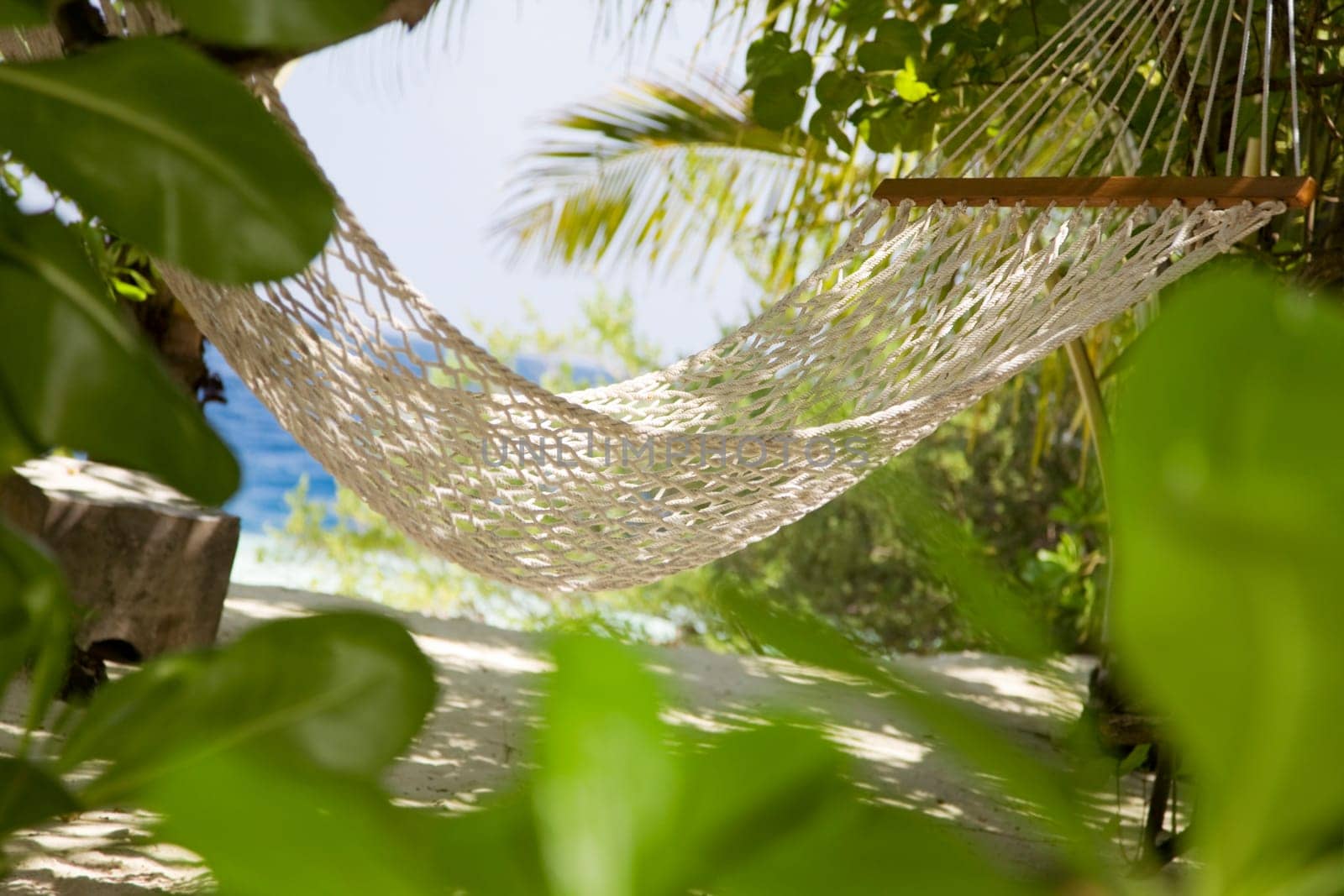 tropical beach