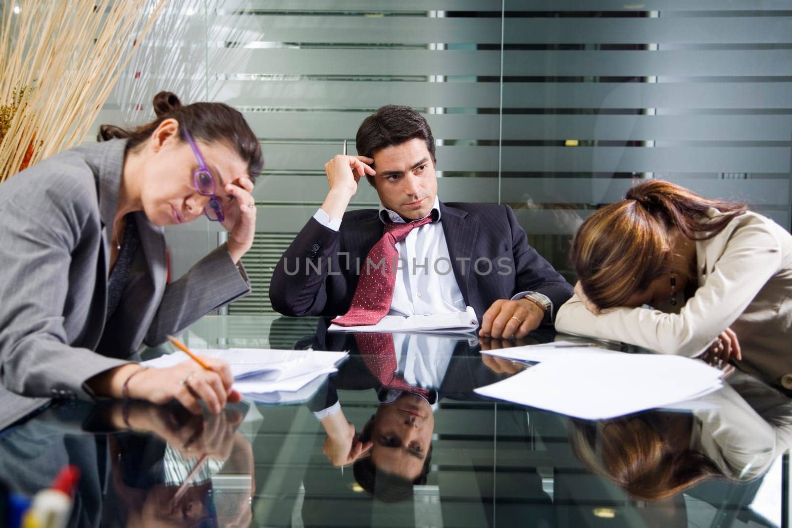Business Team