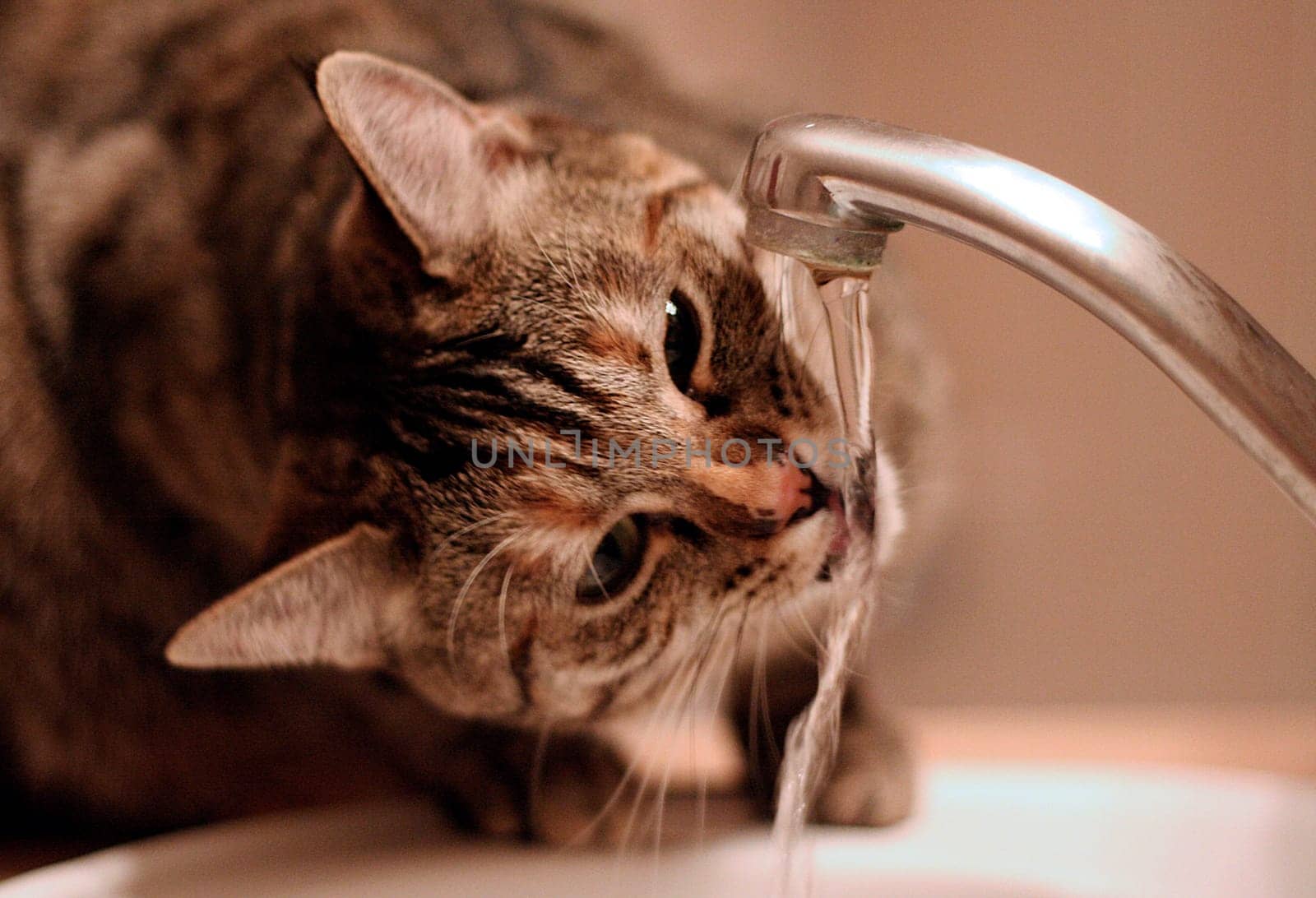Thirst