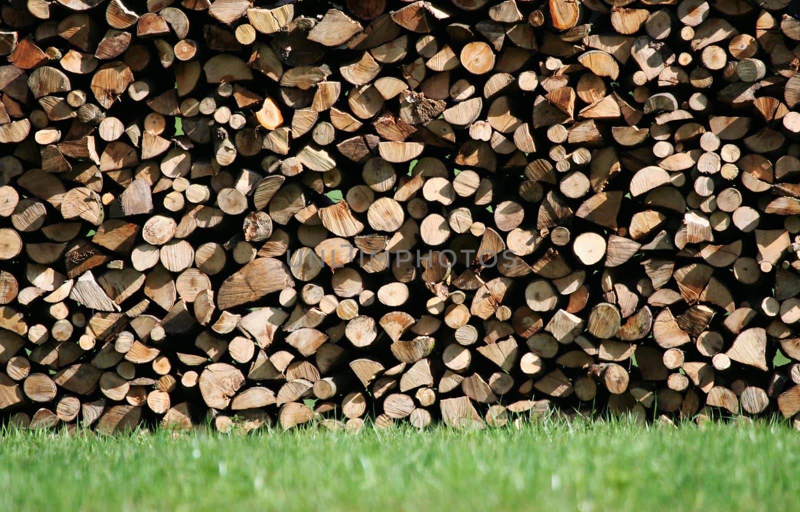 Wood Pile II