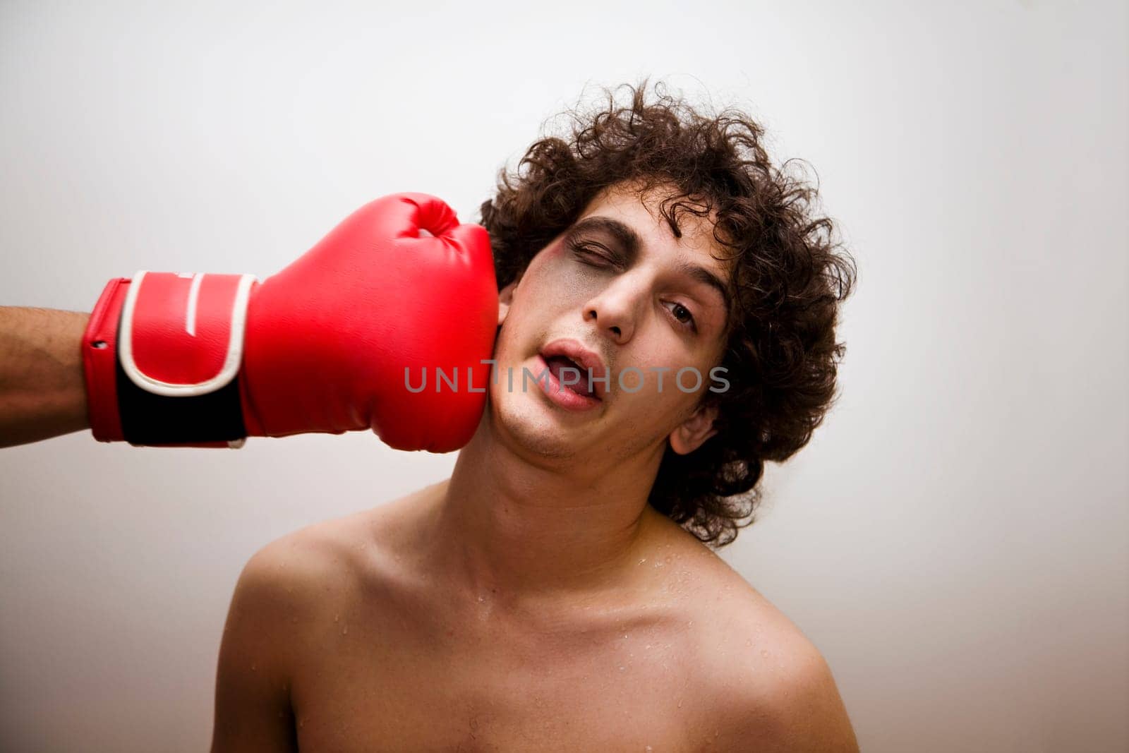 boxer