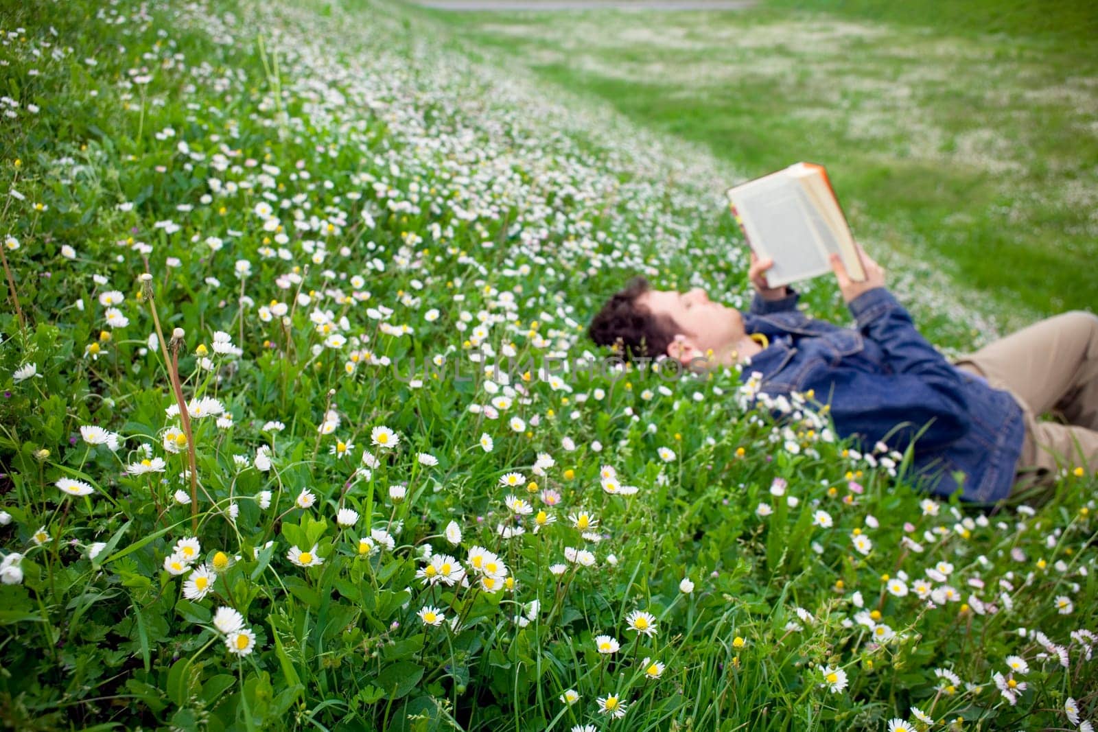 guy reading on a daisy field