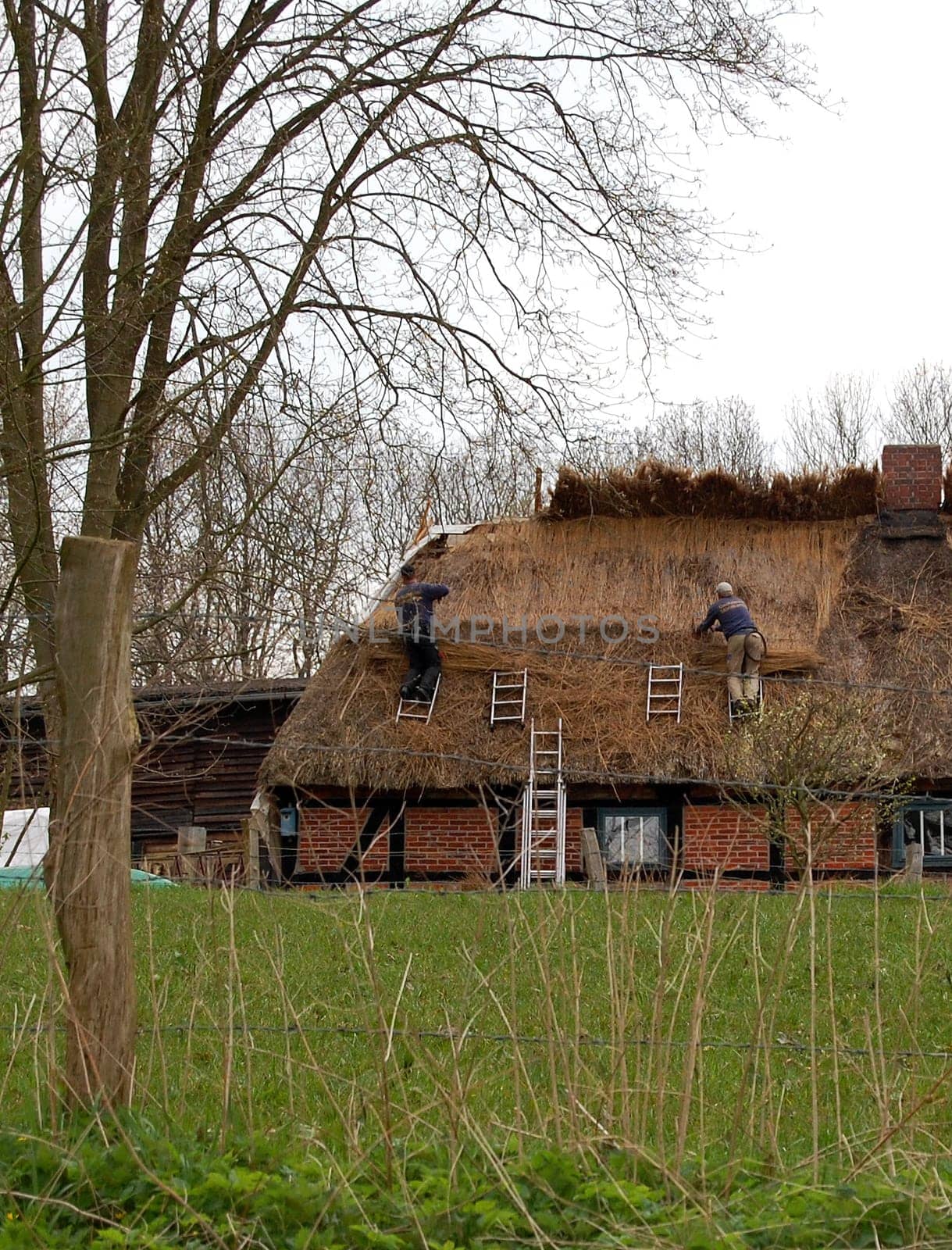 Roofer