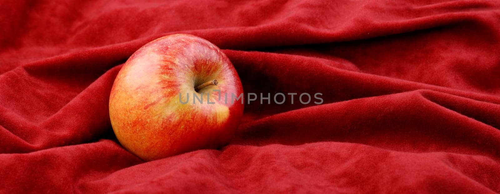 Apple on red velvet - Panorama
