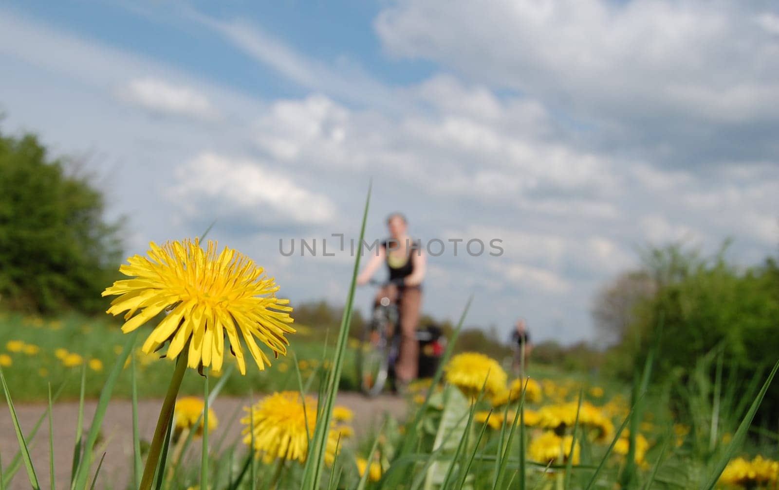 Bike ride