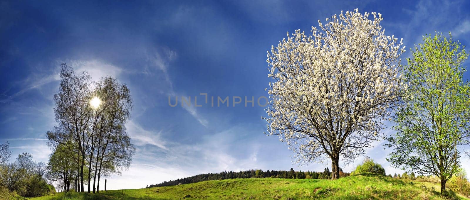 Spring sky