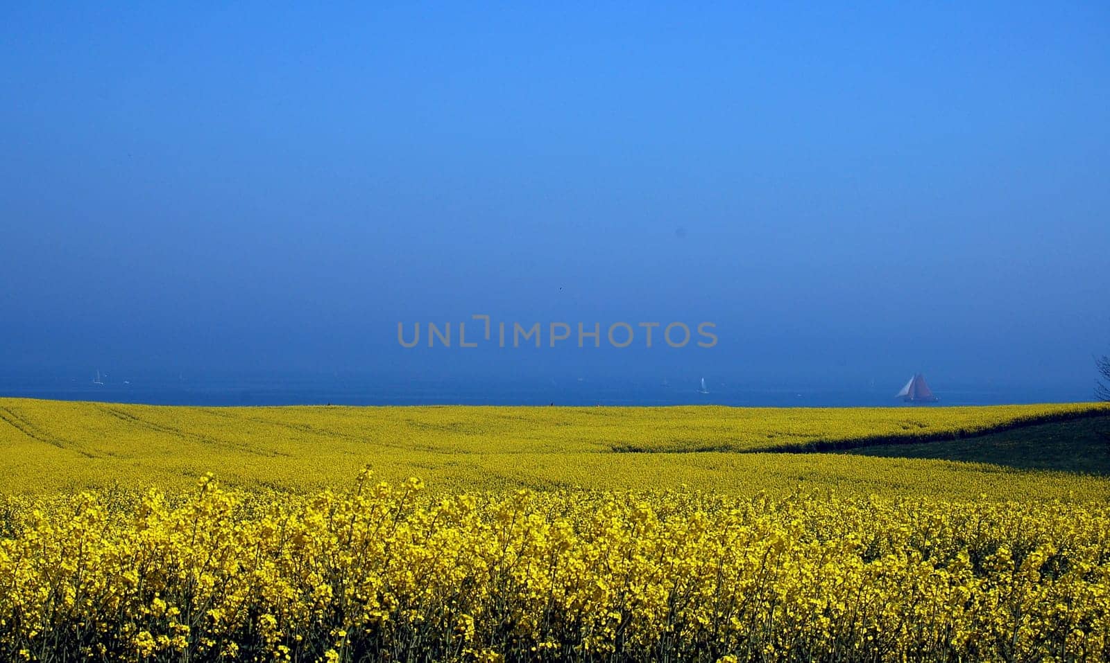 ... finally spring again on the Baltic Sea coast!