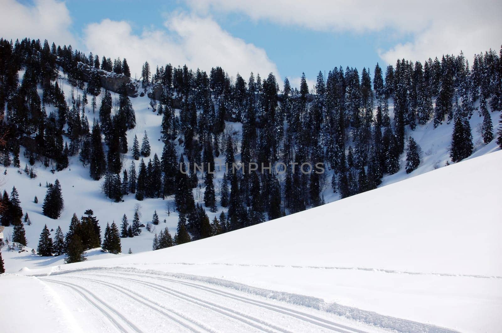 Cross-country ski trail 7936
