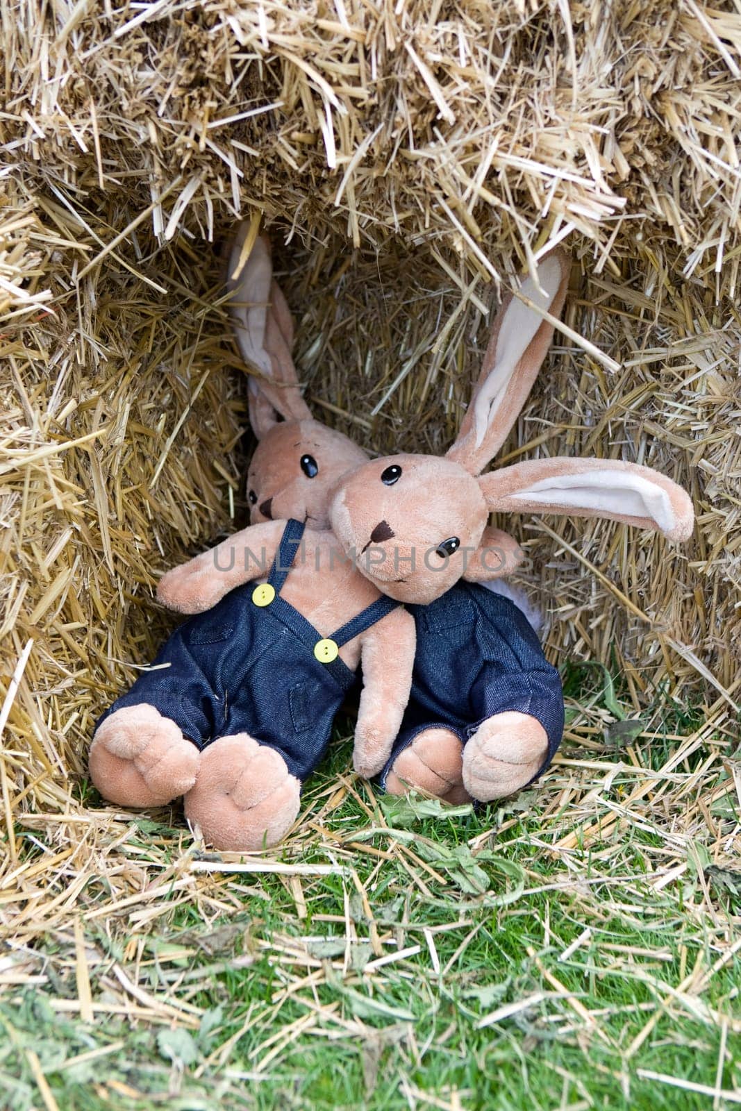 Stuffed bunnies in hay