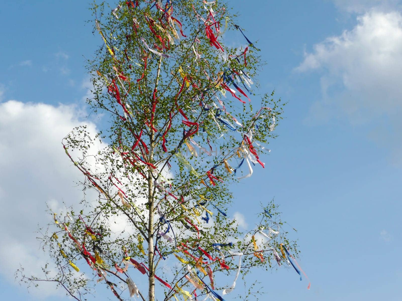 Maypole
