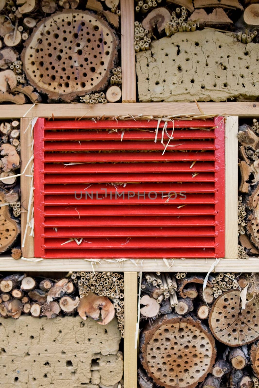 Apiary
