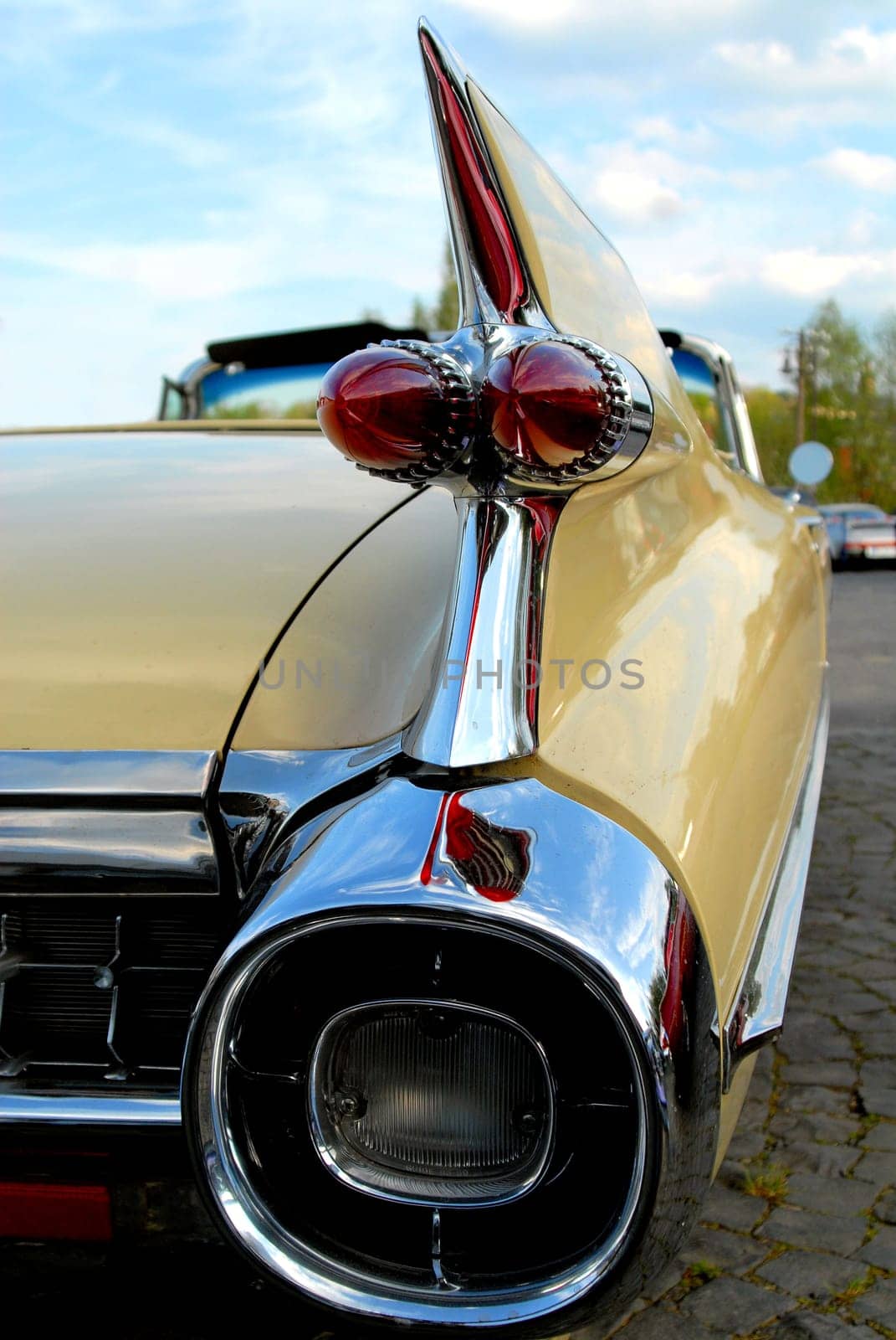 Cadi