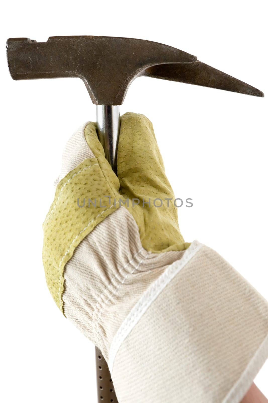 Carpenter