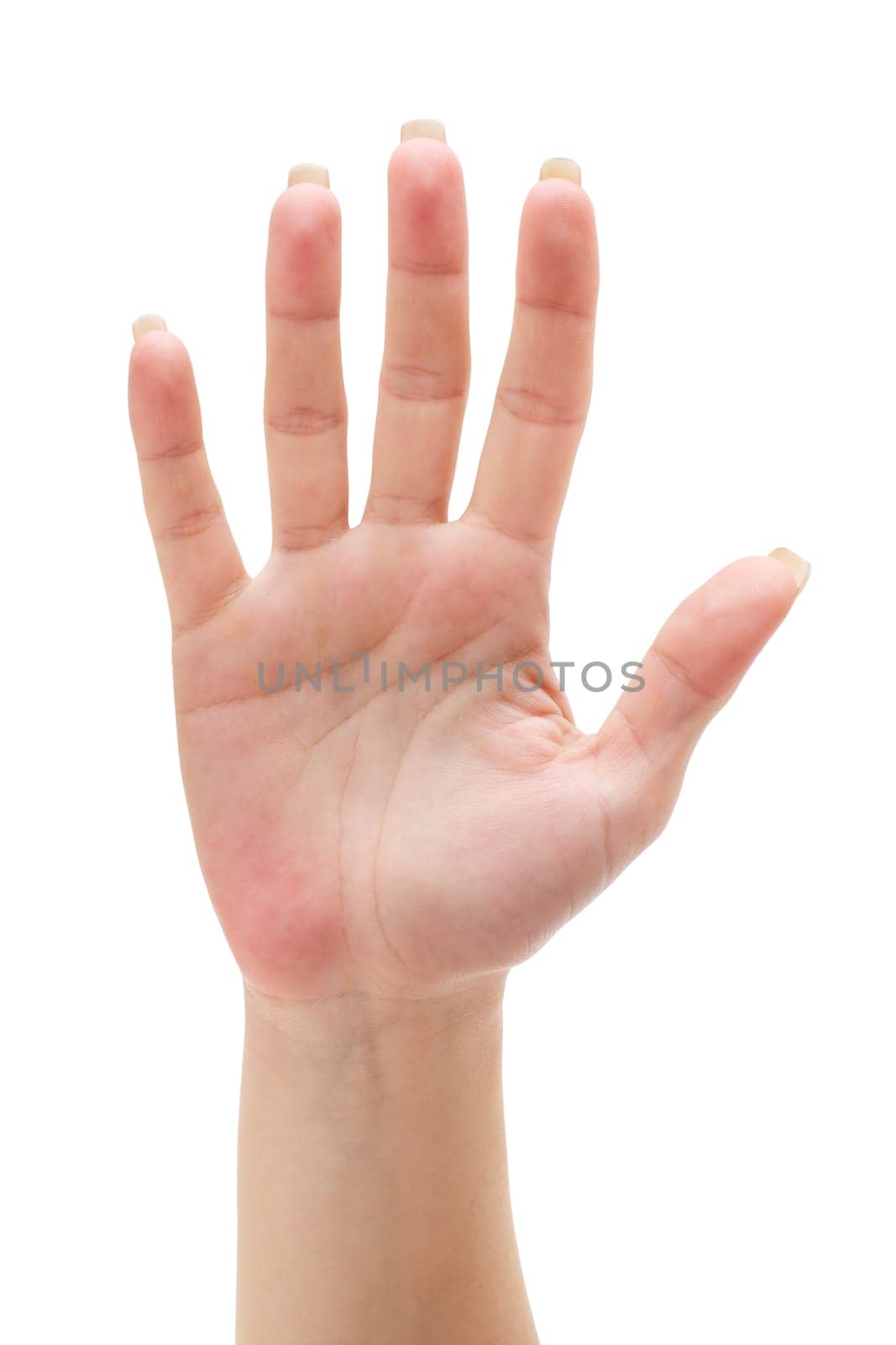Palm hand without shake without fist without point without extra without counting
