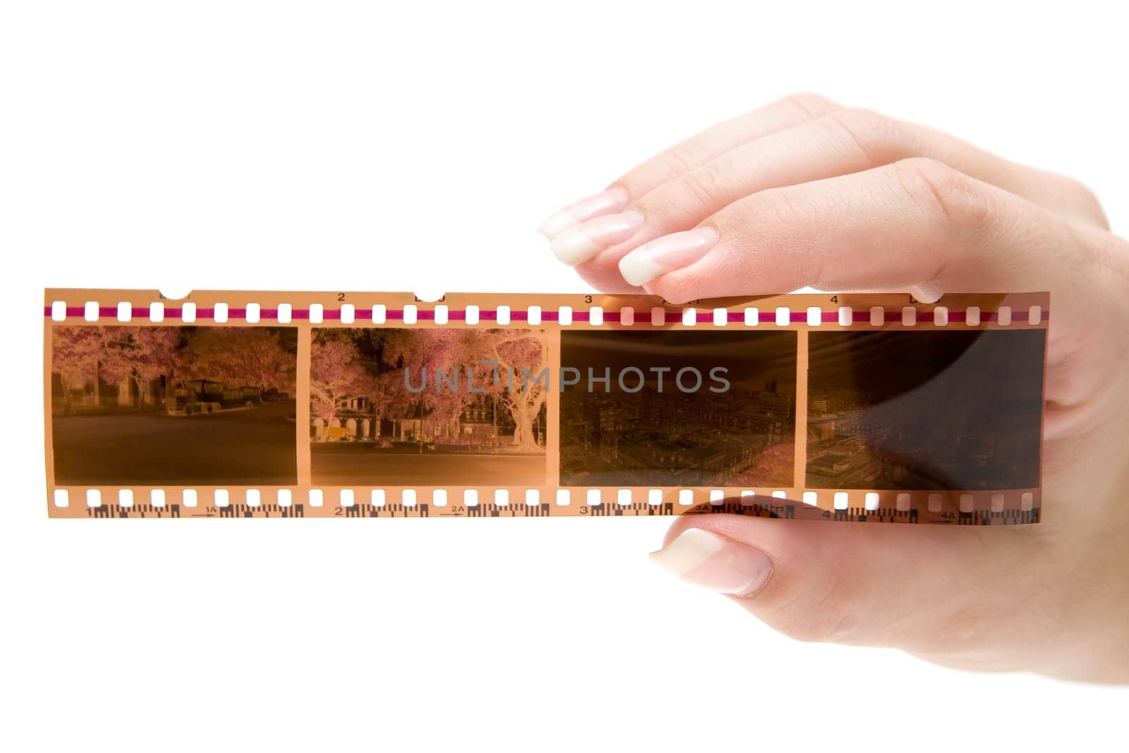 Souvenir pictures