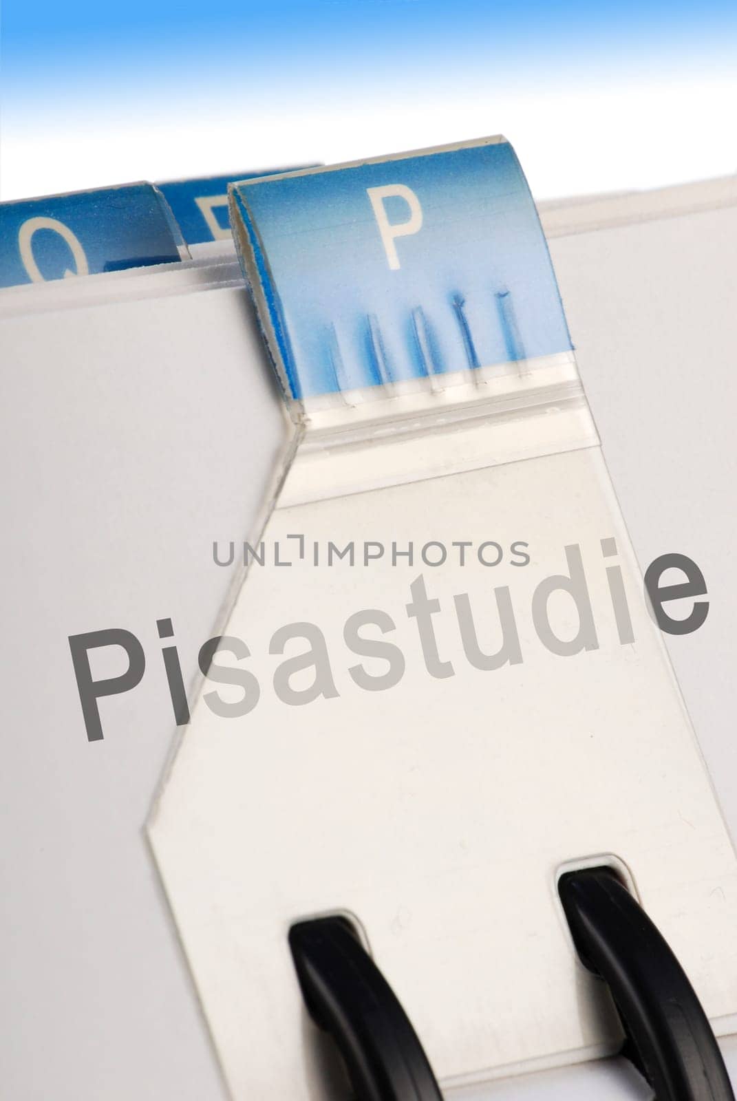 Pisa Study
