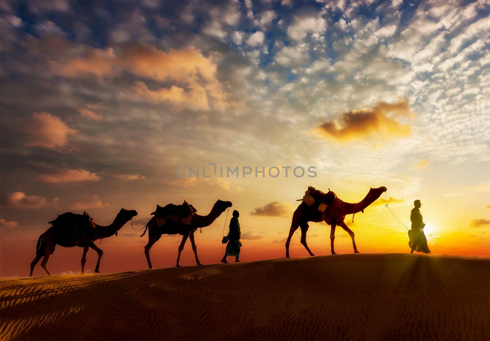 Travel background - two cameleers (camel drivers) with camels silhouettes in dunes of desert on sunset