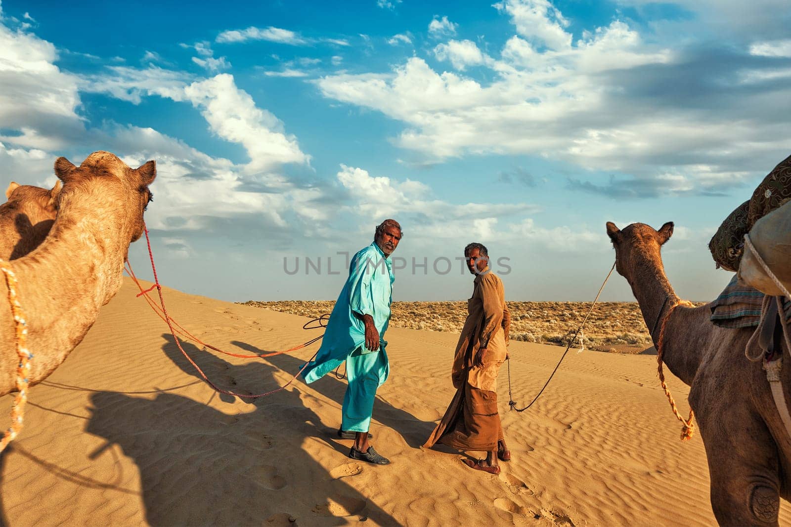 Two cameleers camel drivers with camels in dunes of Thar deser by dimol