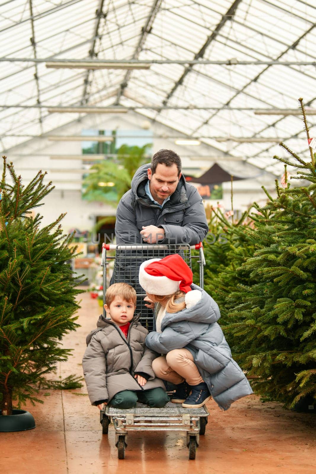 Father and children choose a Christmas tree at a market. by Godi