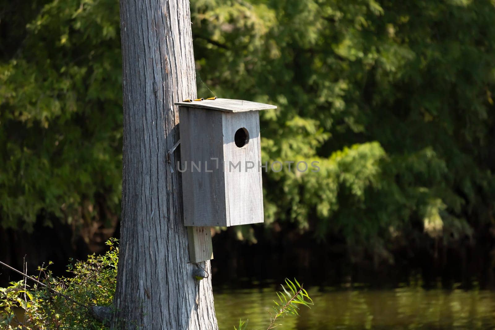 Wood Duck Nesting Box by tornado98