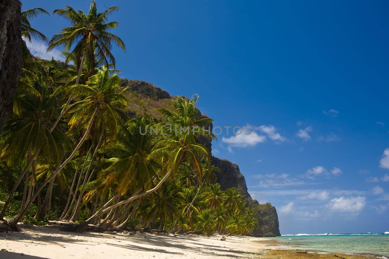 Caribbean beach
