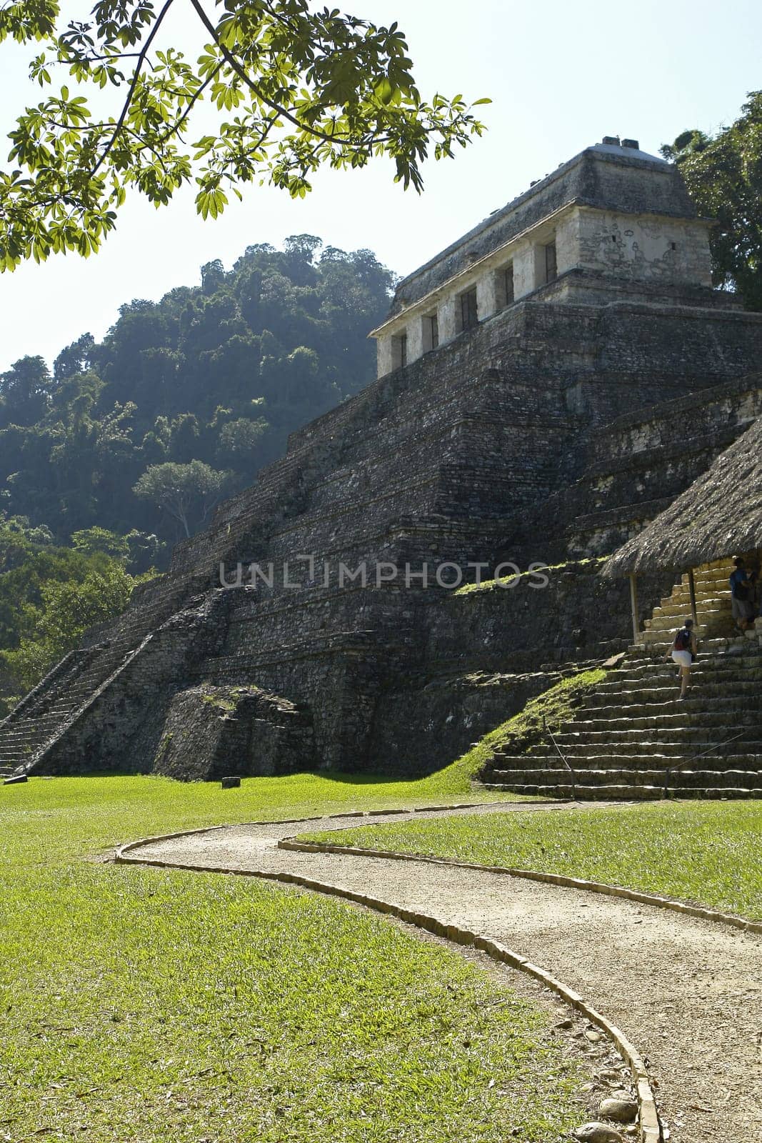großer maya temple in palenque,mexico